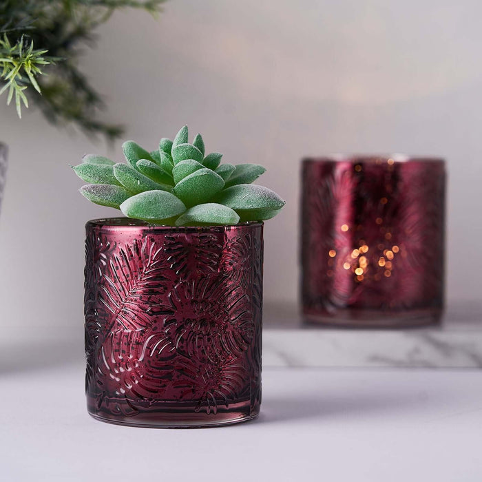 Succulent in decorative burgundy glass pot, soft focus background.