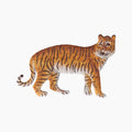 African Tiger Tissue Box Cover