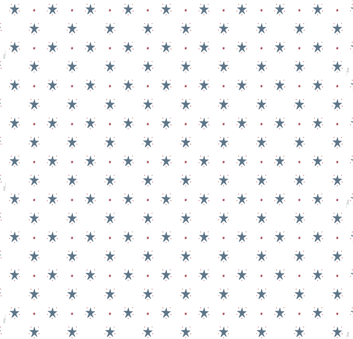 Americana in Red White & Blue Fabric SWATCH