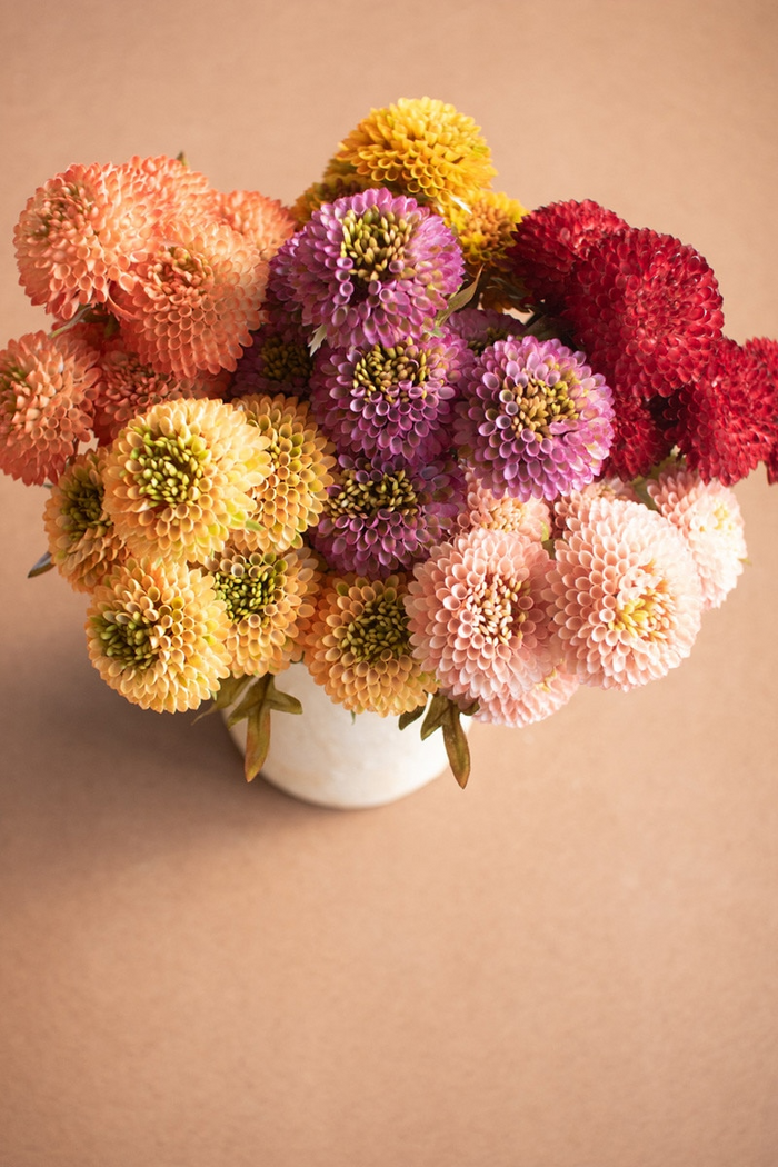 Artificial Orange Ball Dahlias Box/6 Bundles