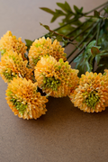 Artificial Yellow Ball Dahlias Box/6 Bundles