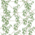 Bamboo Jasmine in White Wallpaper SWATCH