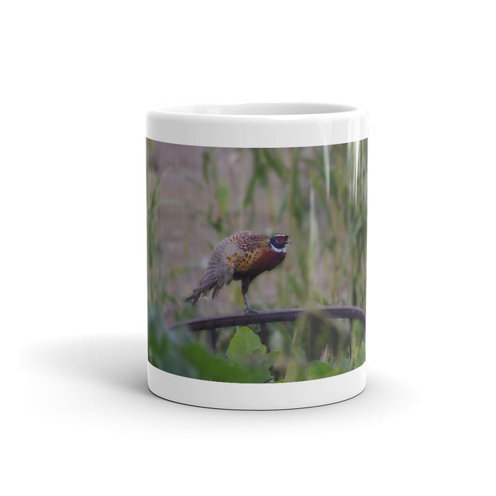 Bernie Stretching Mug