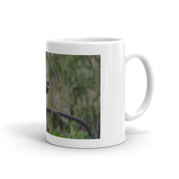 Bernie Stretching Mug