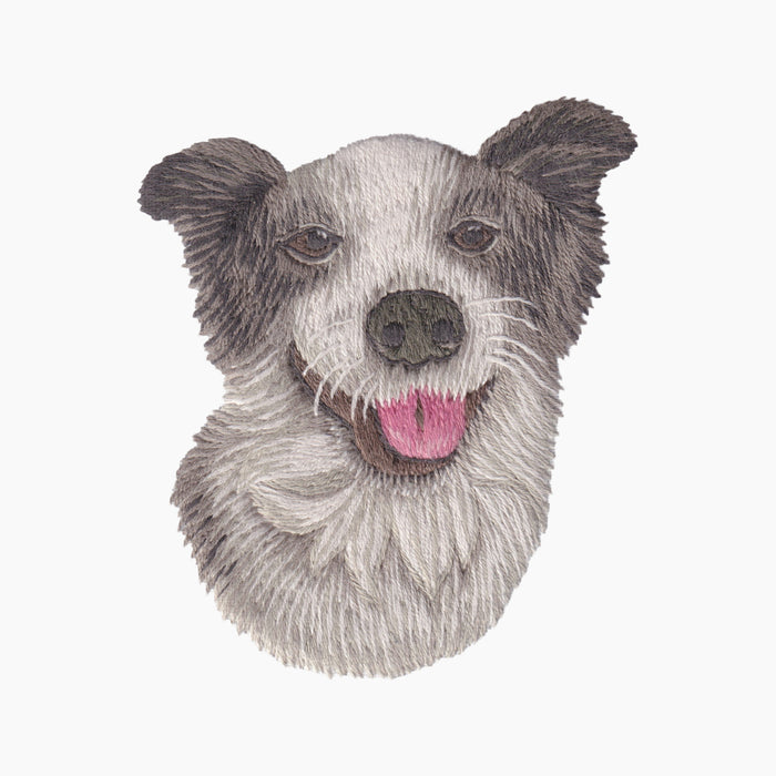 Border Collie Tissue Box Cover