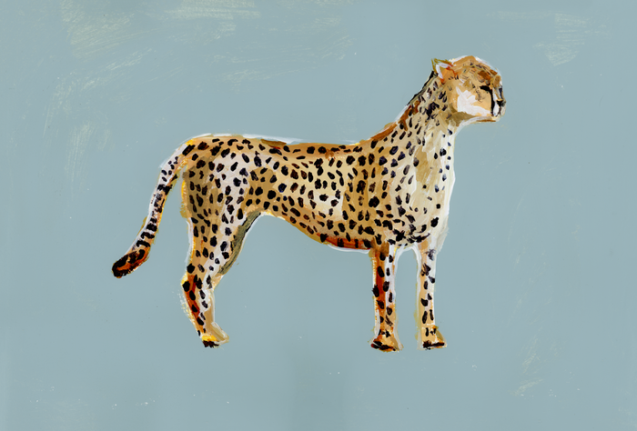 Cheetah PRINT