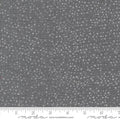 Dotty Thatched - Lead - by Robin Pickens with Moda Fabrics