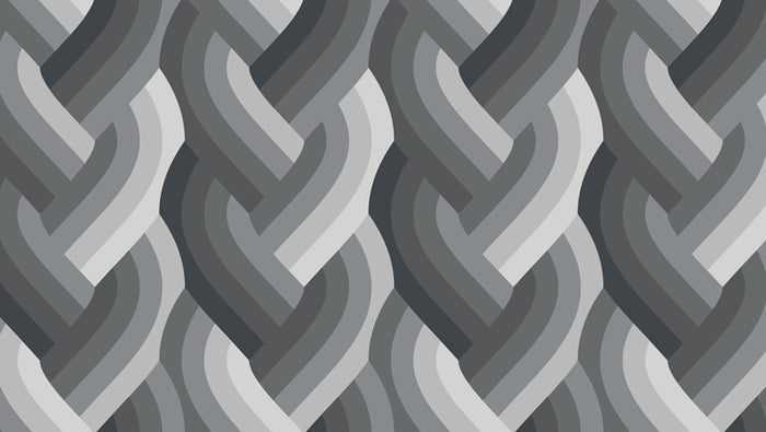 Echo - Braid in Black - by Emily Van Hoff with Moda Fabrics