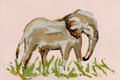 Elephant PRINT