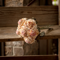 French Rose Bouquet Blush Box/12