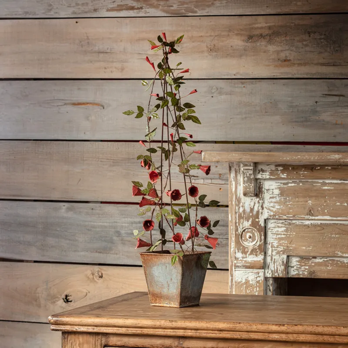 French Wire Trumpet Vine Trellis