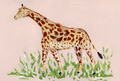 Giraffe PRINT