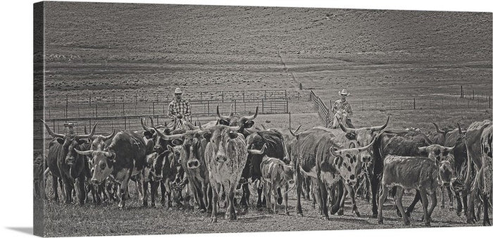 Heading Back to Open Range Canvas Print