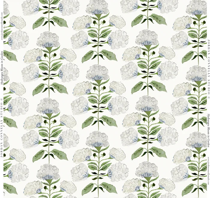 Hydrangea Bloom in Garden Wallpaper SWATCH