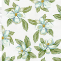 Magnolias for Lucie in White Wallpaper SWATCH