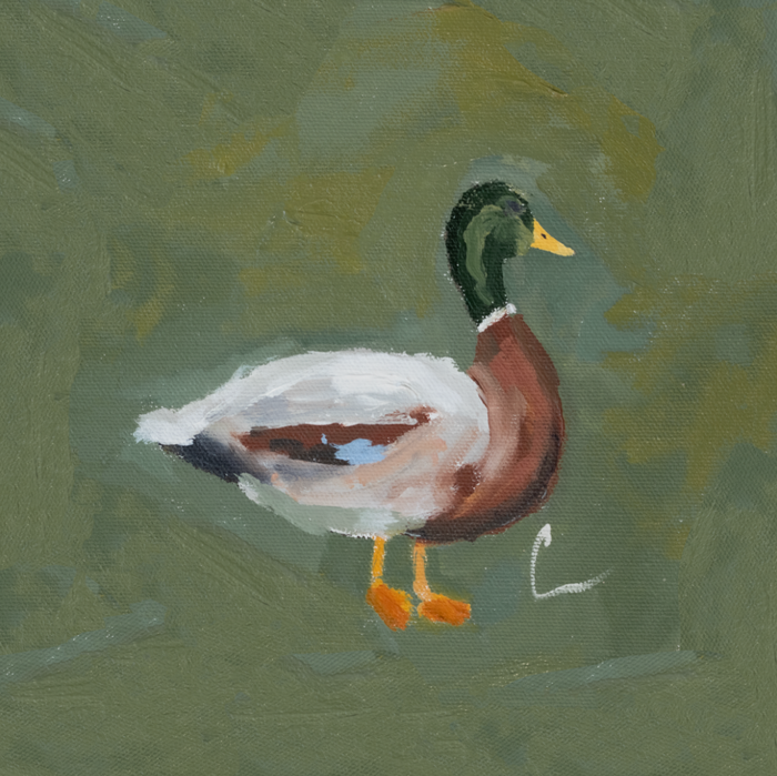 Mallard PRINT