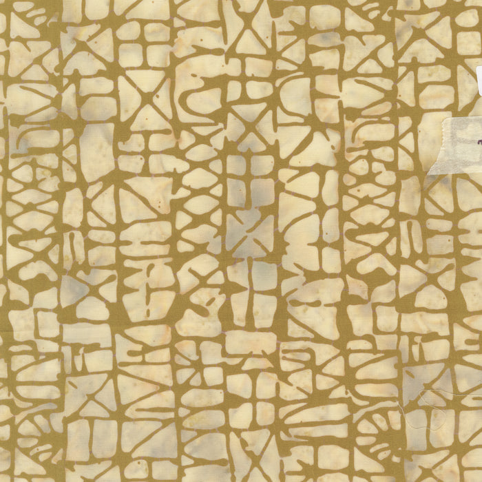 Moody Mod: Part 1 - Graphik Klee in Almond Flour - by Marcia Derse with Windham Fabrics
