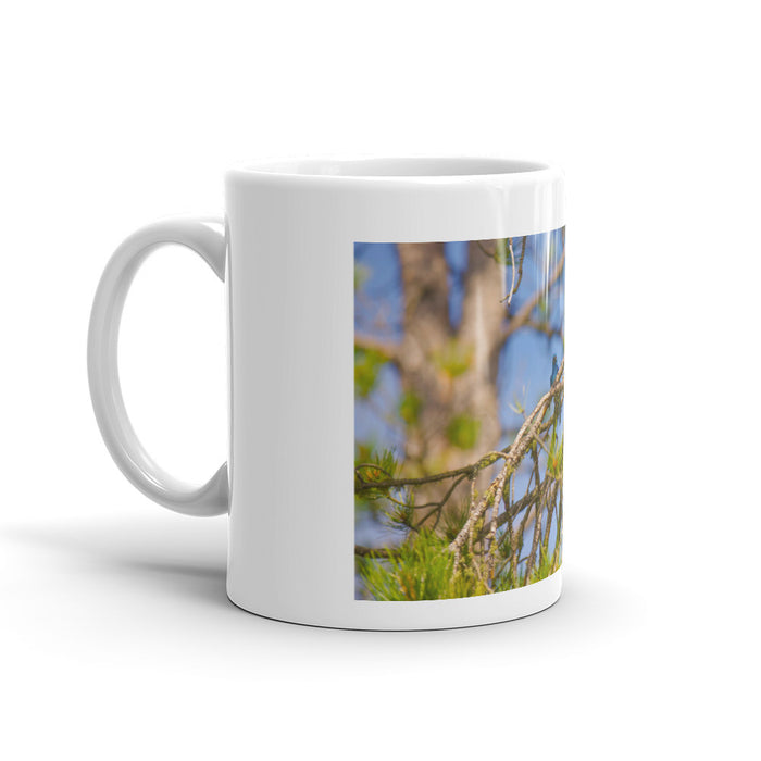 Mountain Bluebird Mug