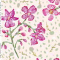 Orchids for Parker in Blush Wallpaper SWATCH