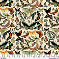 Palette Canvas Cloth - Teal Butterflies - by Tim Holtz with FreeSpirit Fabrics