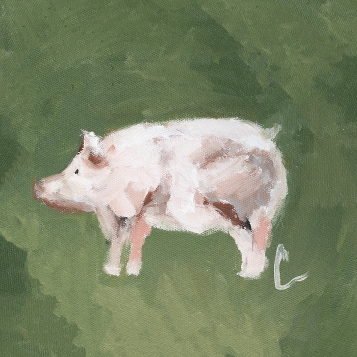 Pig PRINT