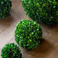 Preserved Boxwood Ball 8"