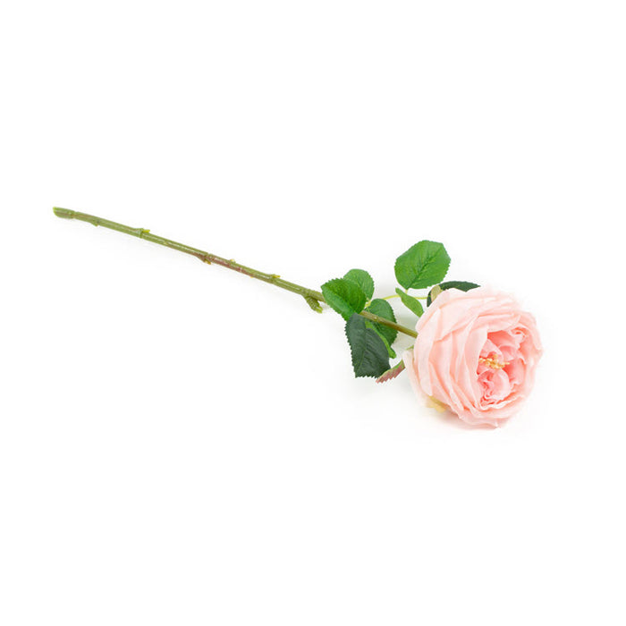 Real Touch Light Pink 17" English Rose Box/12