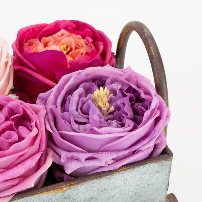 Real Touch Lilac 17" English Rose Box/12
