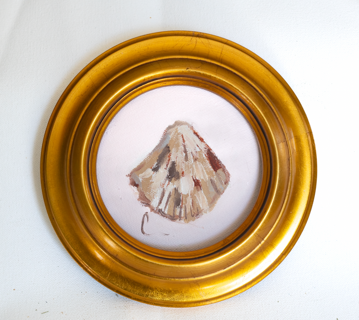 Shell IV 5x5 (Comes Framed)