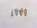 Shell Stack 1 PRINT