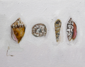 Shell Stack 2 PRINT