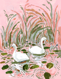 Swans PRINT