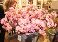 Sweet Blossom Pink Stems Box/12