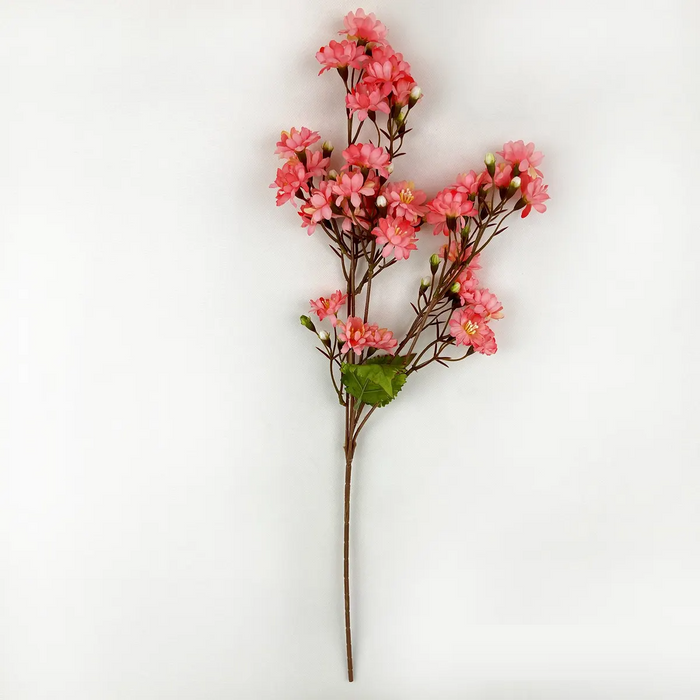 Sweet Blossom Pink Stems Box/12
