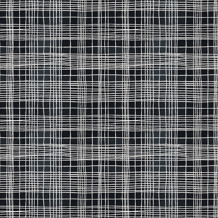 The Plaid One - String Theory Plaid in Space Tunnel - by Marcia Derse with Windham Fabrics
