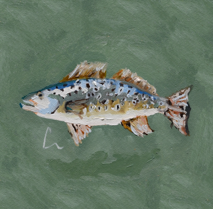 Trout 2 PRINT