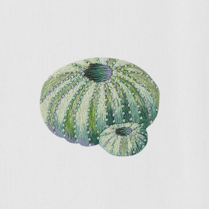 Urchin Teal Towel Towel