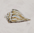Whelk 1 PRINT