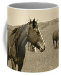 Young Stud Mug