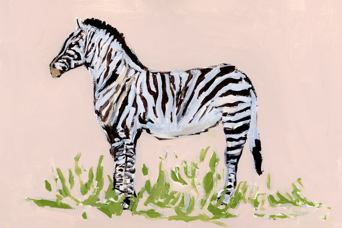 Zebra PRINT